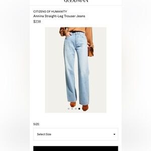 Citizens of Humanity Annina Straight Leg Jeans (Women’s 30), light/med. wash